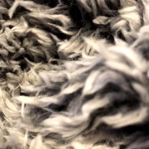 Meet your Posher, Ashlyn